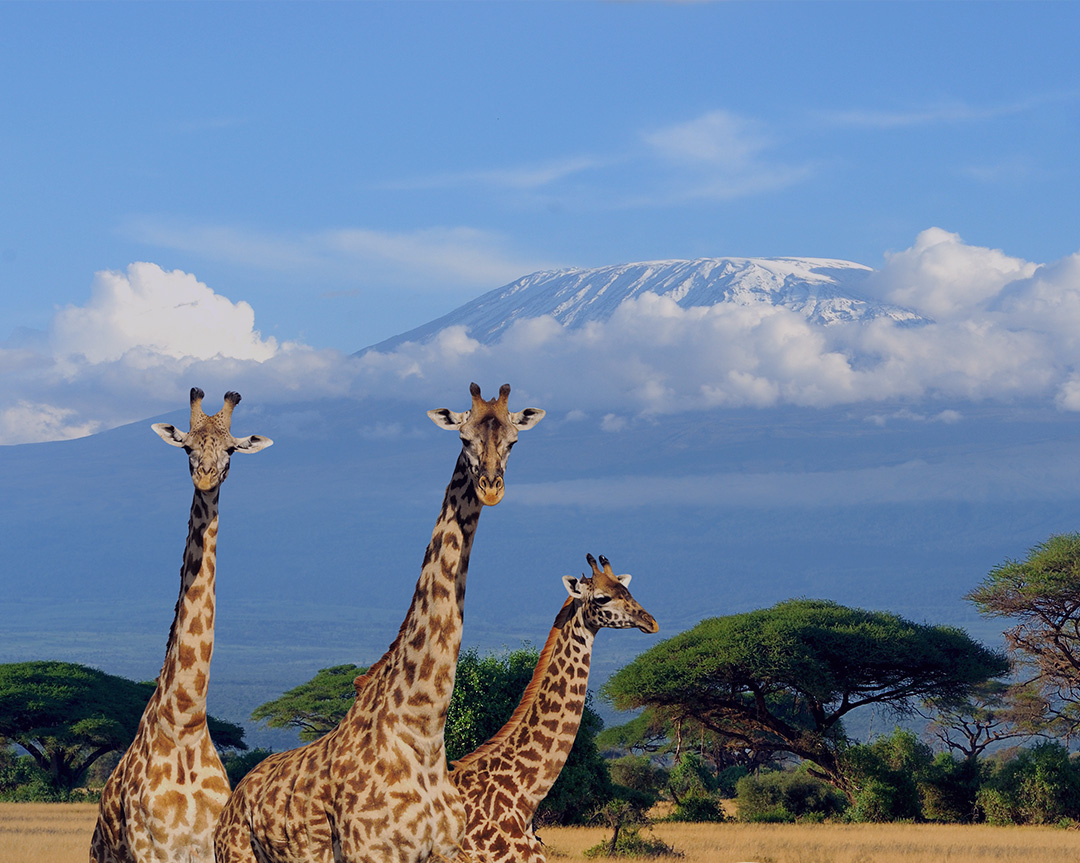 Kenya